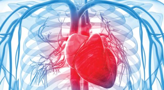 cardiologista