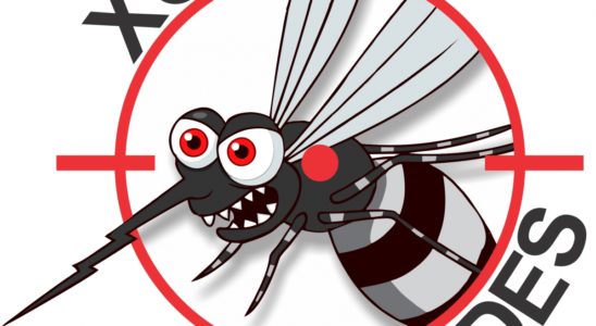 Dengue-aplicativo-paulista301215f1